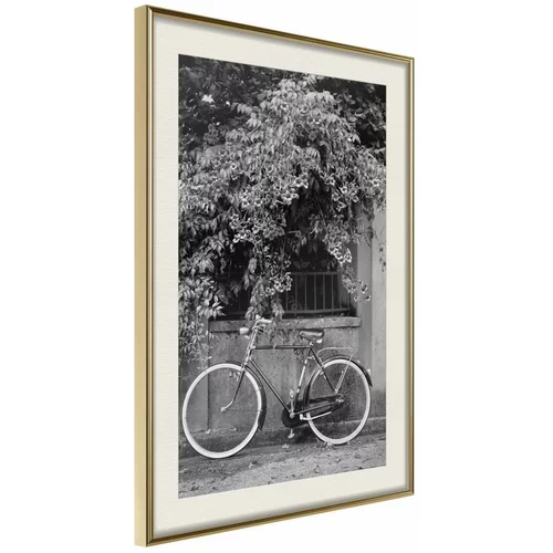  Poster - Bicycle with White Tires 30x45