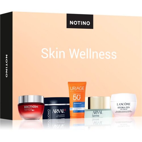 Beauty Discovery Box Notino Skin Wellness set uniseks Cijene