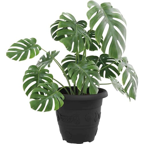  Okrugla saksija za cveće 24 pcs Crna &amp;Oslash; 26 x 21.5 cm Plastika - Crna &amp;Oslash; 22 x 18 cm 24 Slike