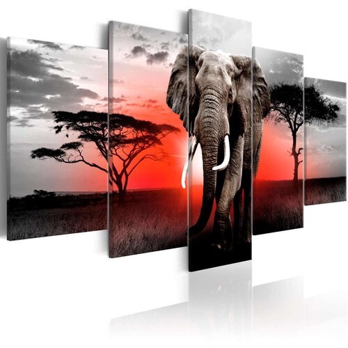  Slika - Lonely Elephant 100x50 Slike