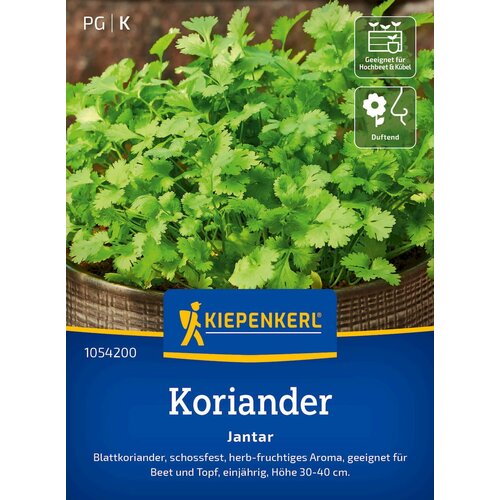 KIEPENKERL Koriander Jantar - 1 pkt. Cene