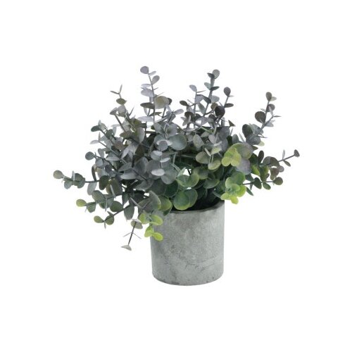 Dekordom Cvet i saksiji ds540 - n13 ( 025165 ) Cene