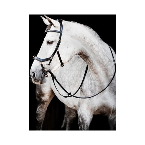 Horseware Ireland Uzda Micklem 2 Multi Bridle, črna - Standard Horse Cene