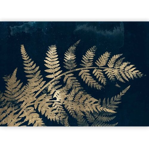  Foto tapeta - Magic Night - First Variant 300x210 Cijene