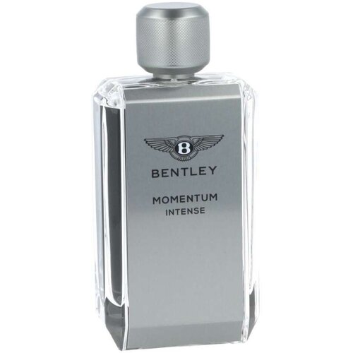 Parfem Momentum Intense parfumirana voda za mo&scaron;ke 100 ml Cene