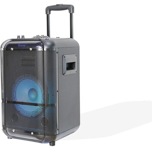 Denver TSP-306 Public Address (PA) speaker Cijene