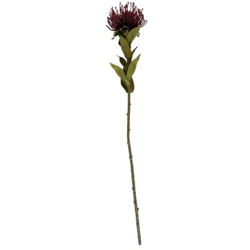 PT LIVING Umetna rastlina (višina 60 cm) Protea – Cene