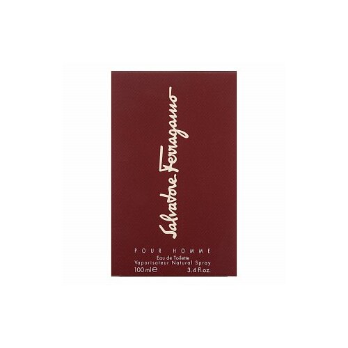 Salvatore Ferragamo Pour Homme toaletna voda 100 ml za mo&amp;scaron;ke Slike