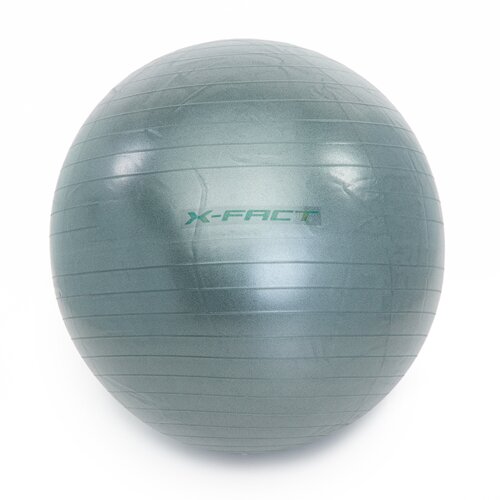 Worqout Gym Ball 65 cm - unisex Cene