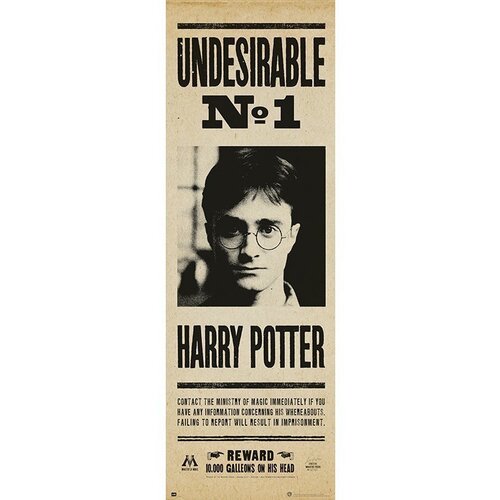 HARRY POTTER PLAKAT PUERTA NEZAŽELEN N§1, (20837442) Cene