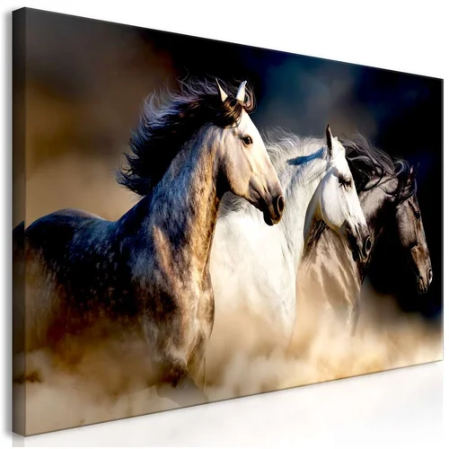  Slika - Sons of the Wind (1 Part) Wide 120x60