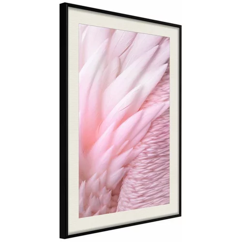  Poster - Pink Feathers 20x30