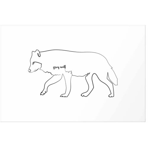  Plakat - Wolf 60x40 Bez okvira s margom Cene