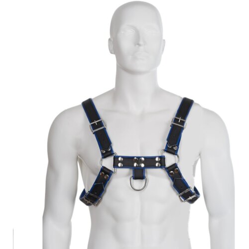 LEATHER BODY CHEST BULLDOG HARNESS BLACK/BLUE LEATHER Cene