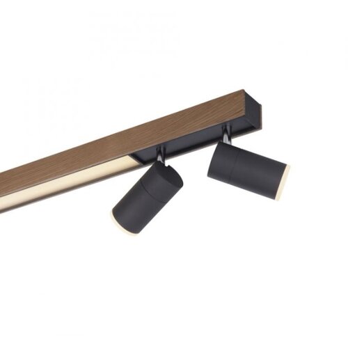 PAUL NEUHAUS LED plafonska svetiljka PURE Lines Spot hrast CCT dimabilno Slike