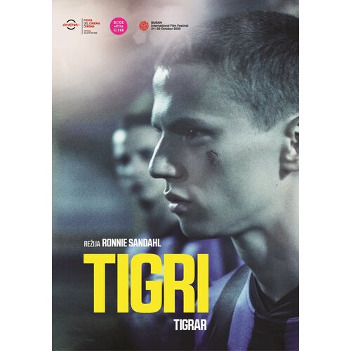 POSNETI MEDIJI TIGRI - DVD SL. POD., (20533718) Cene