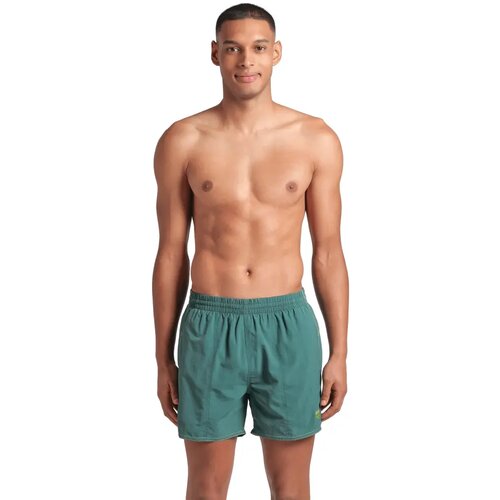 Arena mu&Scaron;ki &Scaron;orts bywayx r beach shorts Cene