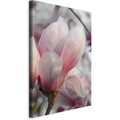 Artgeist Slika Na Platnu Herald Of Spring Cene