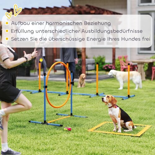  Agility set za pse 7 dijelova: Agility oprema za dresuru pasa set s preponama za igre i trening Slike