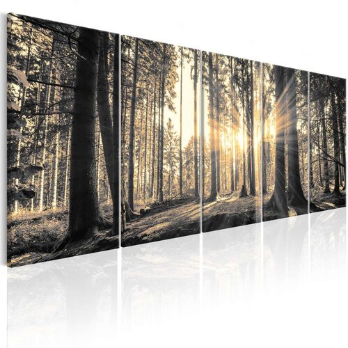 Slika - Shadow Guards 200x80 Slike