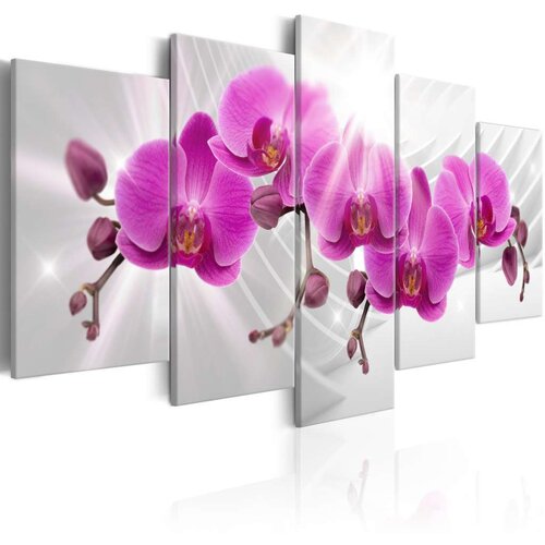  Slika - Abstract Garden: Pink Orchids 100x50 Slike