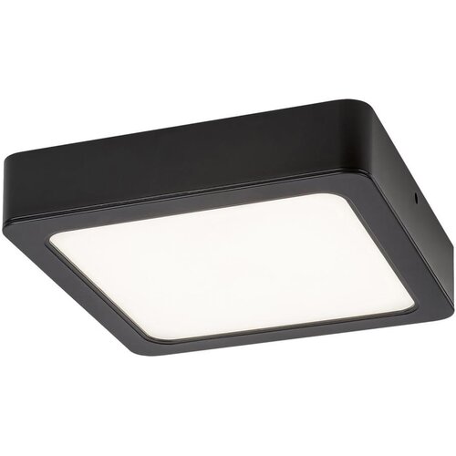 Rabalux 71214 - LED plafonsko svetlo SHAUN LED/15W/230V 16x16 cm crna Cene