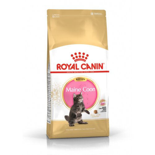 Royal Canin FBN Maine Coon KITTEN, potpuna i uravnotežena hrana za mačke, specijalno za mačiće pasmine Maine Coon do 15 mjeseci starosti, 10 kg Slike
