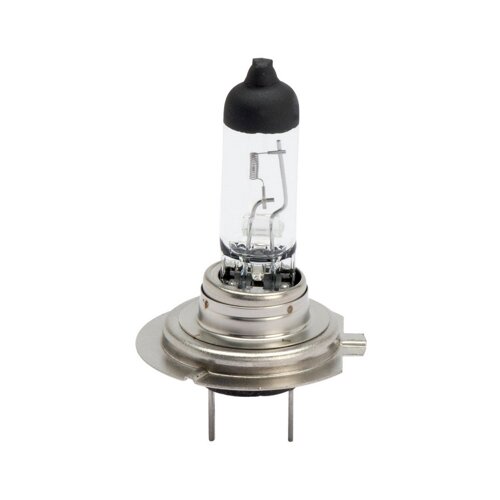  HALOGENA H7 PX26D 12V 55W Cijene