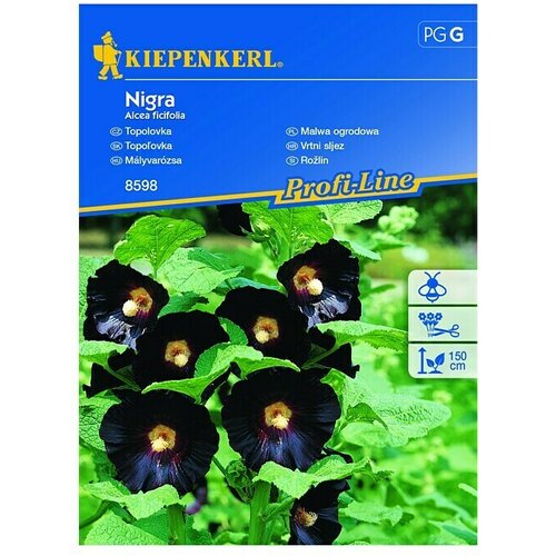 KIEPENKERL Cvetlična semena sleznika sorte Nigra (Alcea ficifolia) Cene