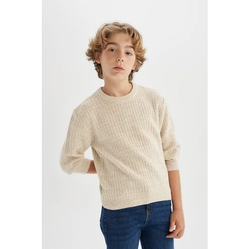 Defacto Boy's Crew Neck Knitwear Sweater