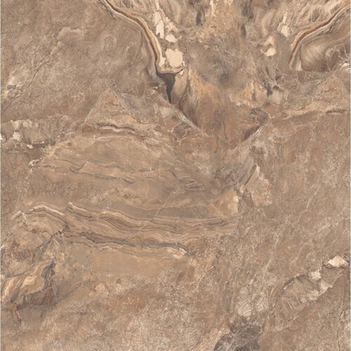 Wolf Brown Sugar 60x60 Slike