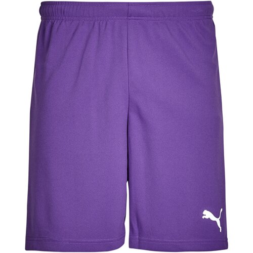 Puma Kratke hlače &amp;amp; Bermuda ESS ACTIVE WOVEN SHORT Vijolična Slike