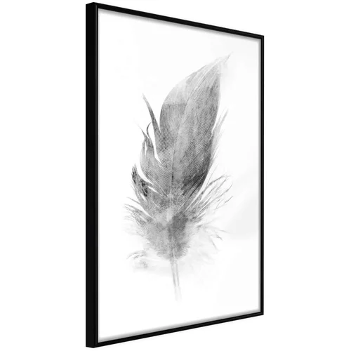  Poster - Lost Feather (Grey) 40x60