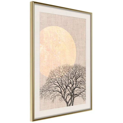  Poster - Tree in the Morning 30x45