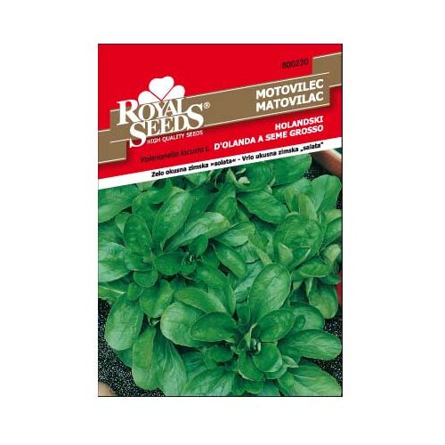 ROYAL SEEDS Sjeme povrća 230 MATOVILAC HOLANDSKI Cijene