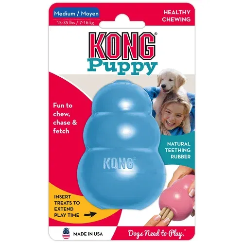 Kong Puppy - M (plava)