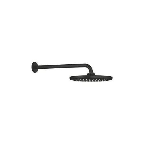  Nadglavni tu&scaron; fi38cm okrugli+izljev Tempesta250 266682430 GROHE Cijene