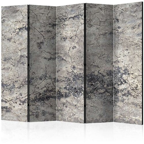  Paravan u 5 dijelova - Grey Lady II [Room Dividers] 225x172 Slike