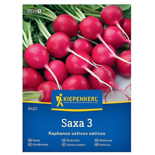 KIEPENKERL Zelenjavna semena Redkvica Saxa 3 (Raphanus sativus var. sativus, Čas žetve: Marec) Cene
