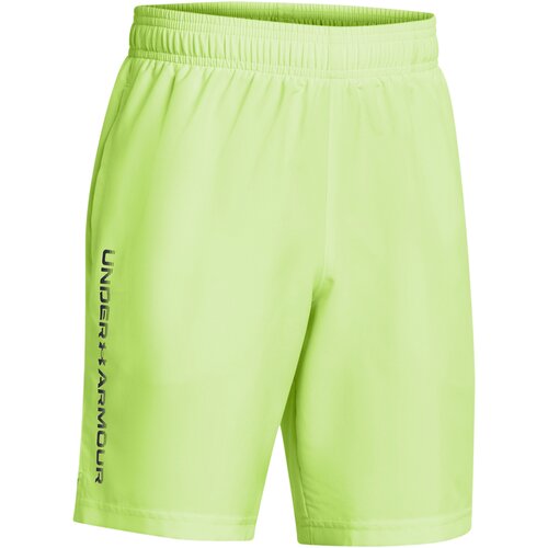 Under Armour Boys&amp;#039; shorts Tech Woven Wordmark Short Slike