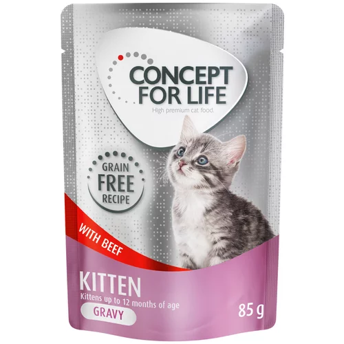 Concept for Life Kitten govedina v omaki brez žitaric - 48 x 85 g