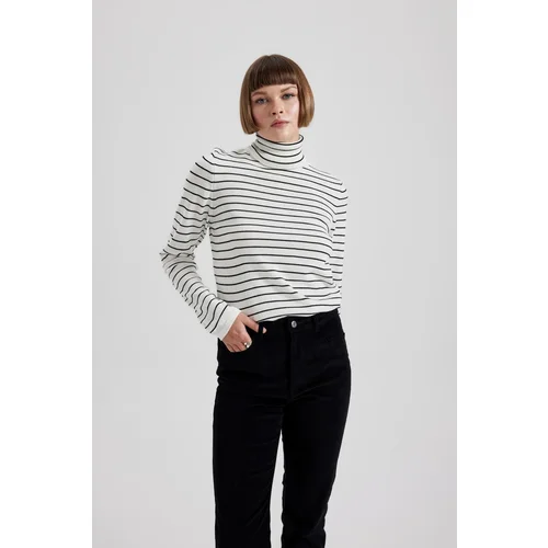 Defacto Regular Fit Turtleneck Sweater