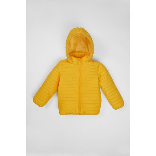 zepkids Boy's Yellow Colored Hooded Coat with Fleece Inside Slike