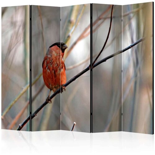  Paravan u 5 dijelova - Bullfinch in the forest II [Room Dividers] 225x172 Slike