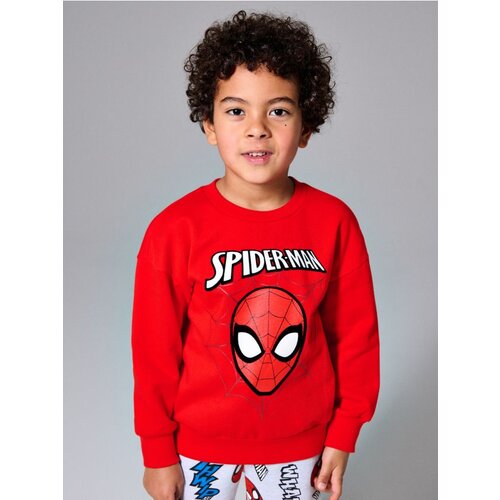 Sinsay Pamučna majica s printom Spider-Man Cijene