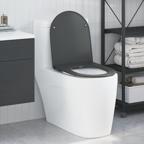 vidaXL WC sjedalo Antracit Duroplast 44 x 36 x 3.4 cm Cijene