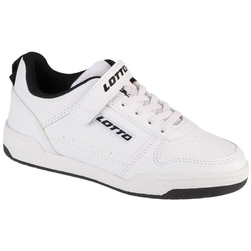 Lotto toco bc k 2600320k-1011 Cene