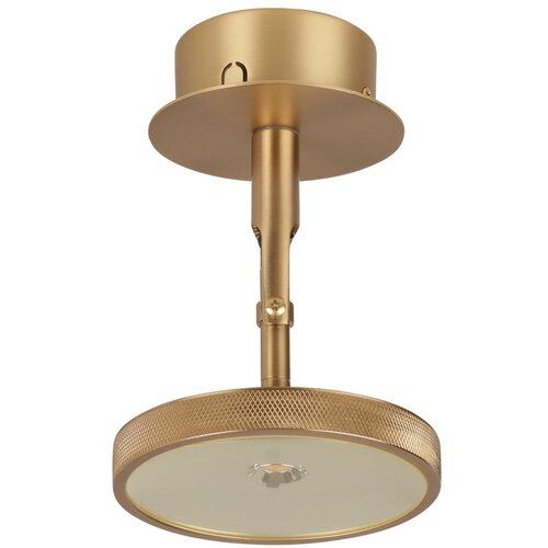UMAGE LED reflektor u zlatnoj boji ø 12 cm Asteria Spot – Cijene