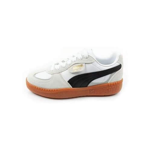 Puma Nizke superge Palermo Moda pisana Cene
