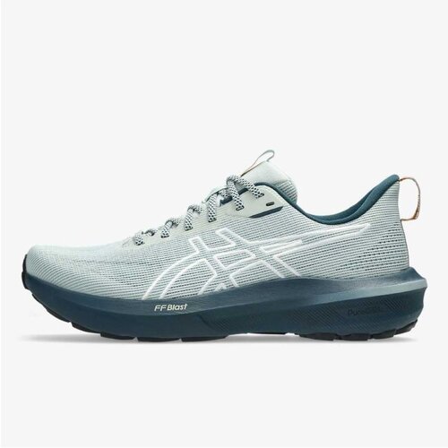 Asics Gt-1000 14 tr Cene
